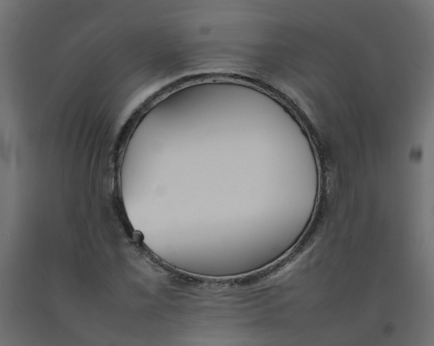 X0000092101069200710101117