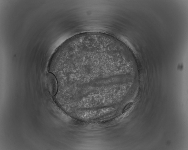 X0000092101071200710101117