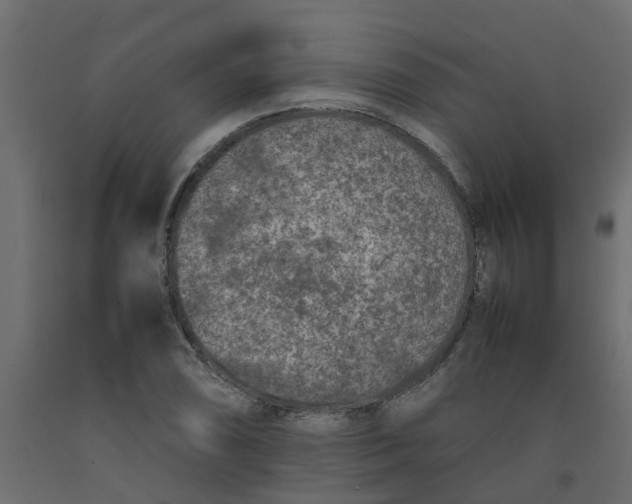 X0000092101074200710101117