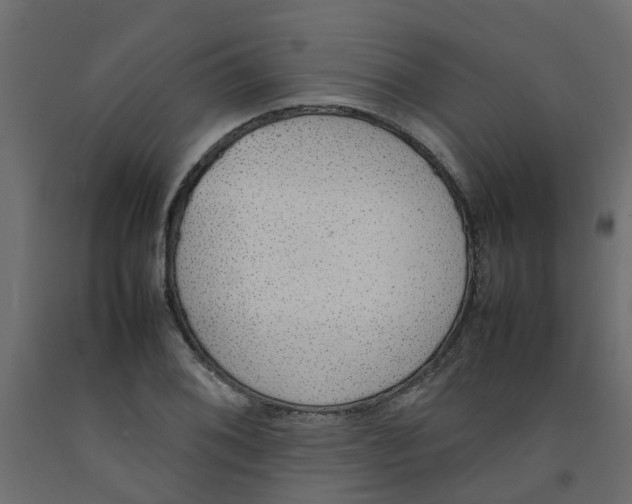 X0000092101076200710101117