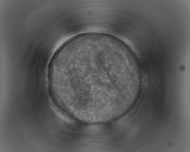 X0000092101078200710101117