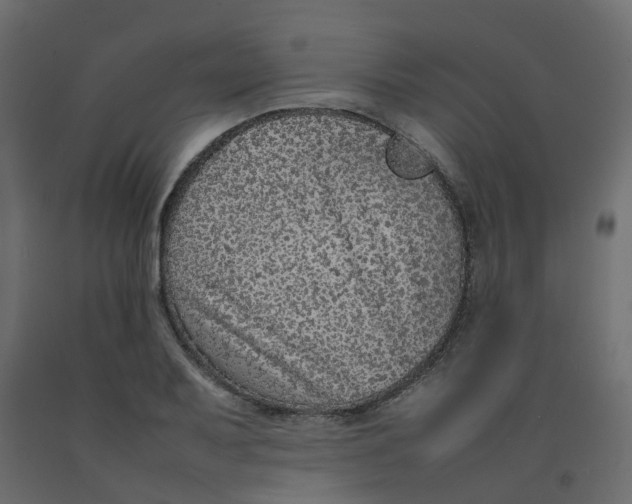 X0000092101079200710101117