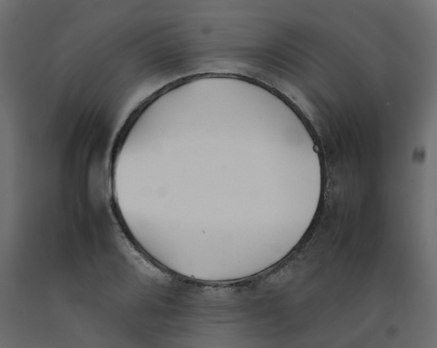 X0000092101080200710101117