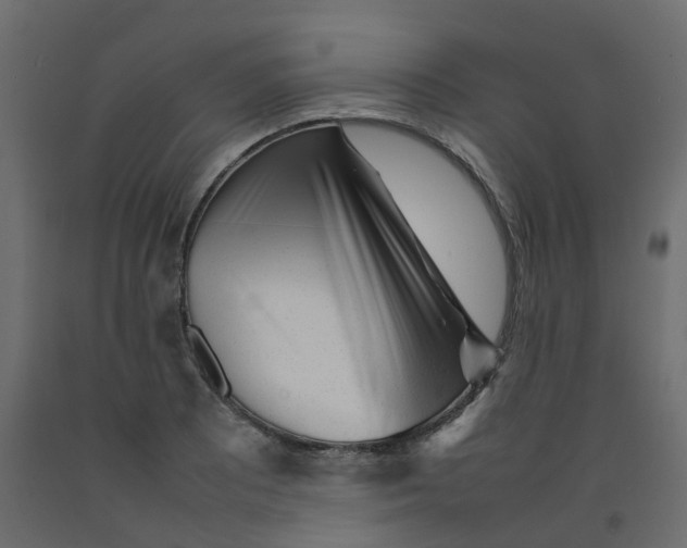 X0000092101081200710101117