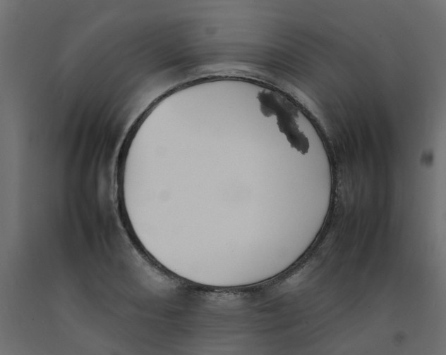 X0000092101082200710101117