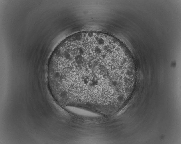 X0000092101083200710101117