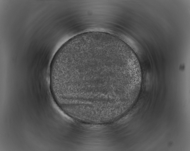 X0000092101084200710101117