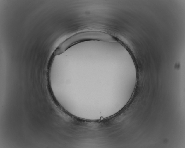 X0000092101085200710101117