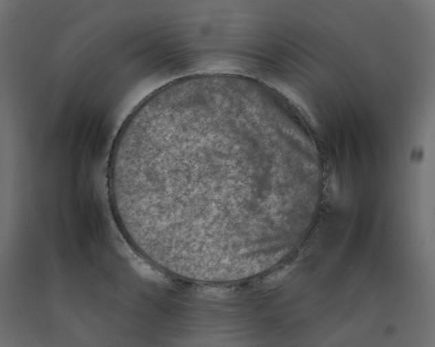 X0000092101086200710101117