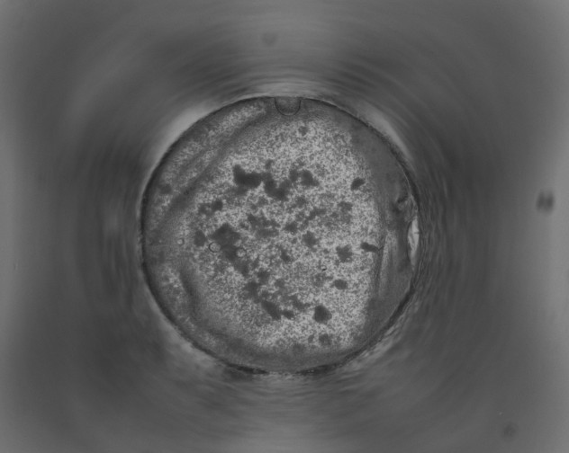 X0000092101087200710101117