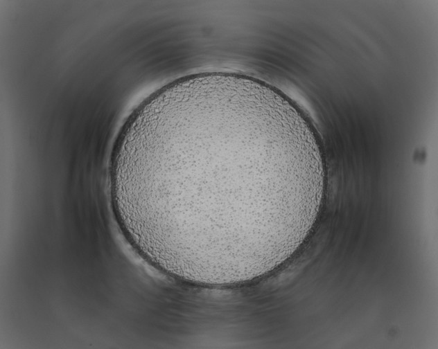 X0000092101088200710101117