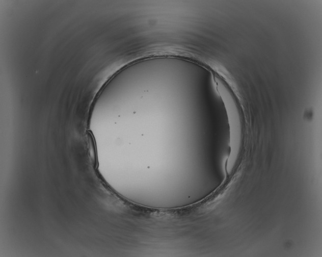 X0000092101089200710101117