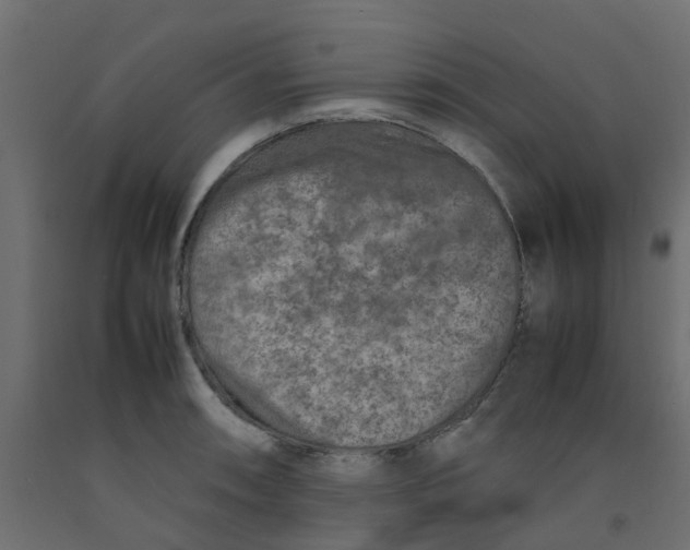 X0000092101090200710101117