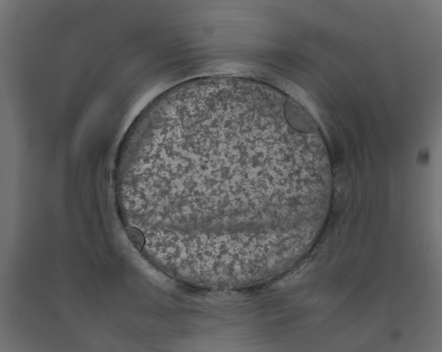 X0000092101091200710101117