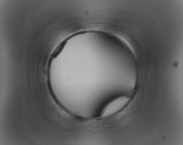 X0000092101093200710101117