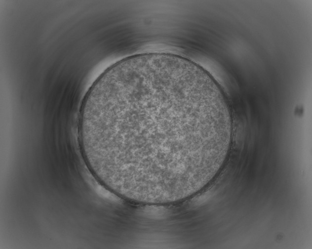 X0000092101094200710101117