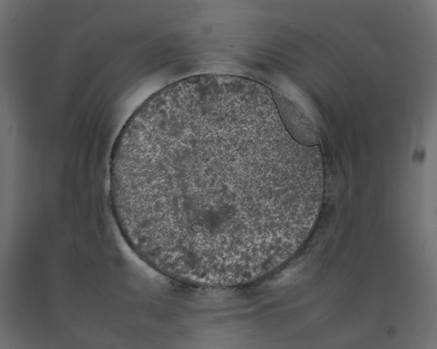 X0000092101095200710101117