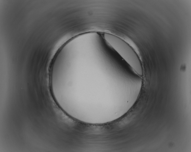 X0000092101096200710101117