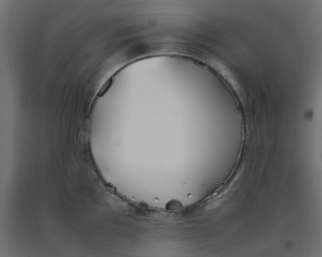 X0000092101097200710101117