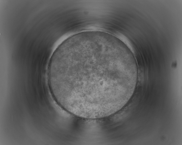 X0000092101098200710101117