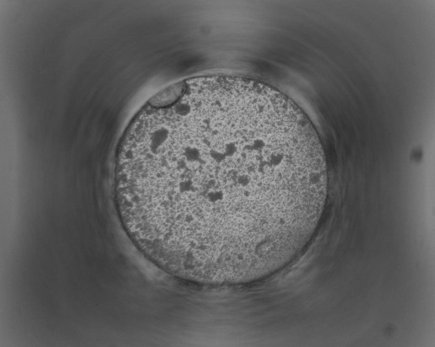 X0000092101099200710101117