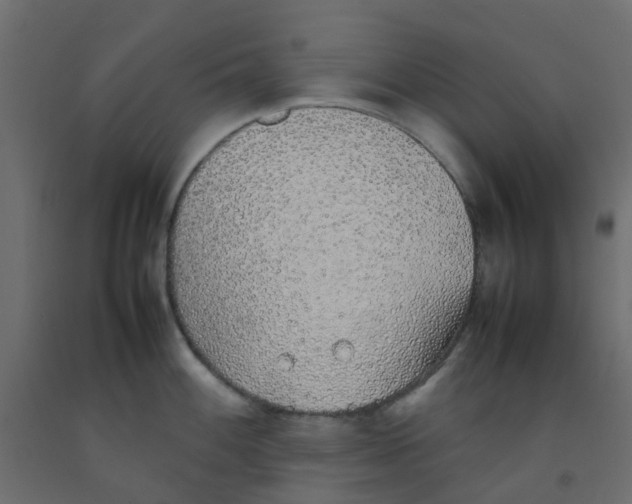 X0000092101100200710101117