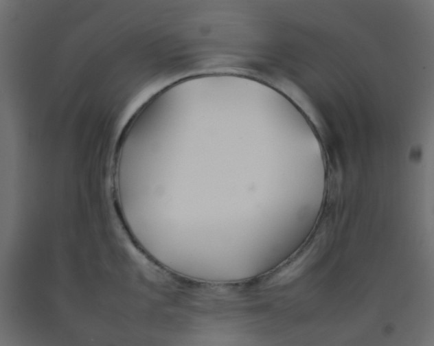 X0000092101101200710101116