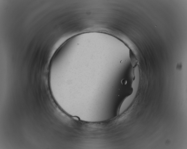 X0000092101102200710101116