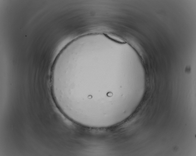 X0000092101103200710101116