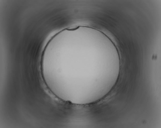 X0000092101104200710101116