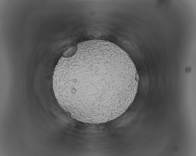 X0000092101105200710101116