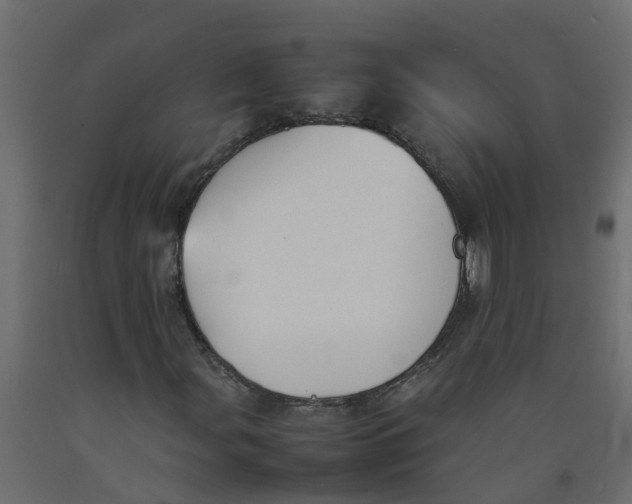 X0000092101107200710101116