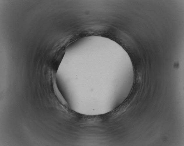 X0000092101108200710101116