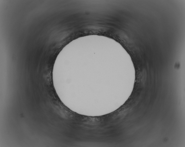 X0000092101109200710101116