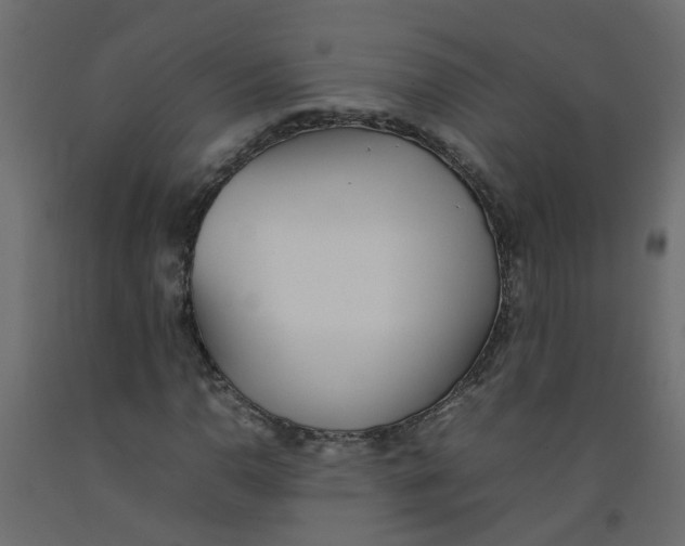 X0000092101110200710101116