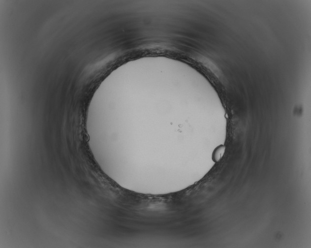 X0000092101111200710101116