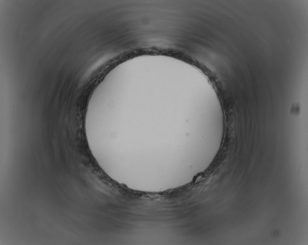 X0000092101112200710101116