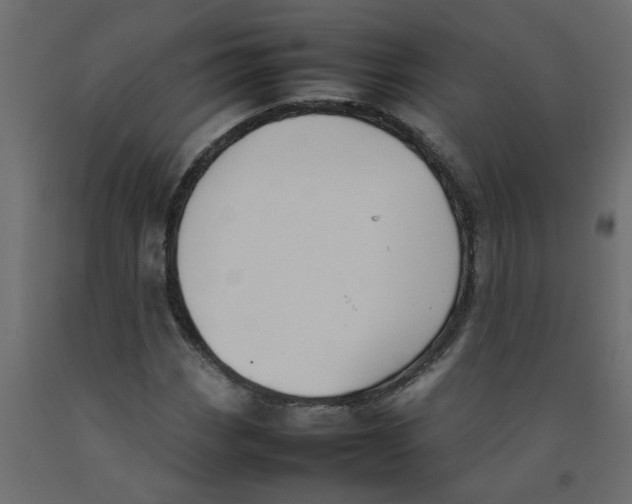 X0000092101113200710101116