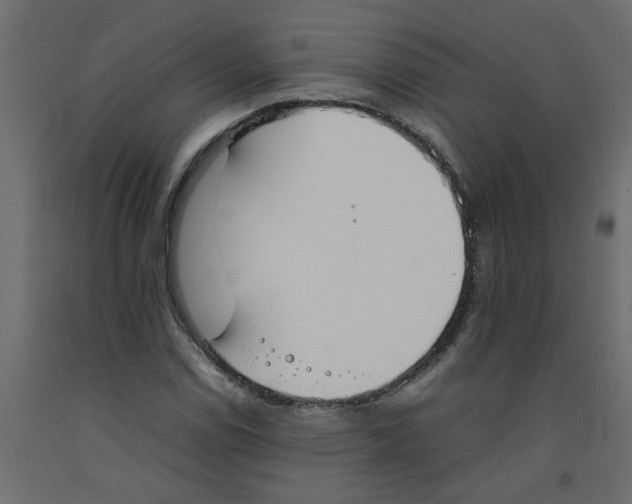 X0000092101114200710101116