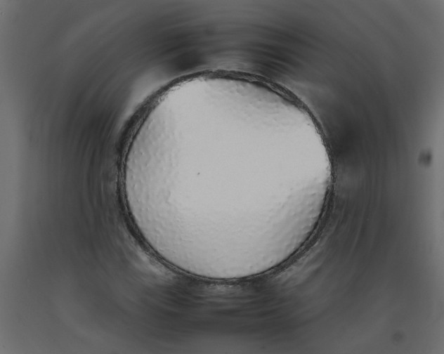 X0000092101115200710101116