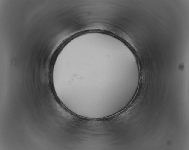 X0000092101116200710101116