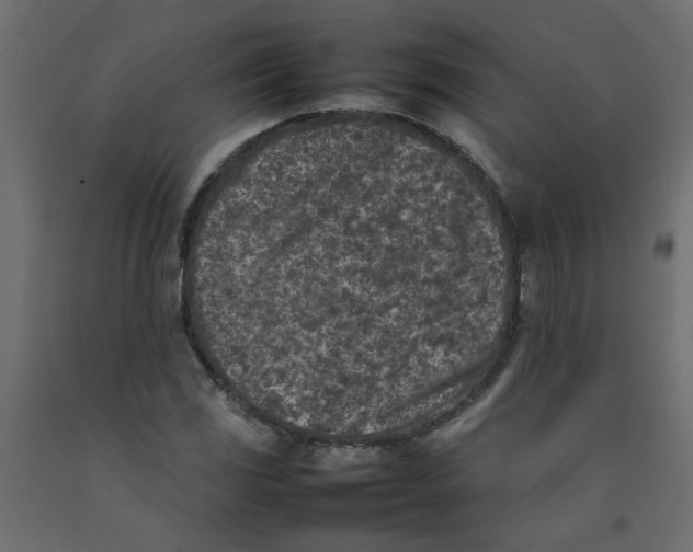 X0000092101117200710101116