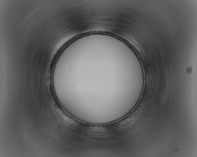 X0000092101119200710101116