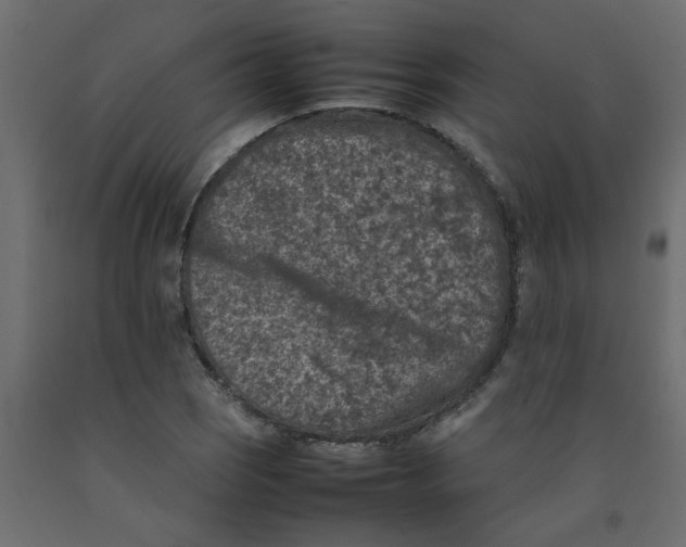 X0000092101121200710101116