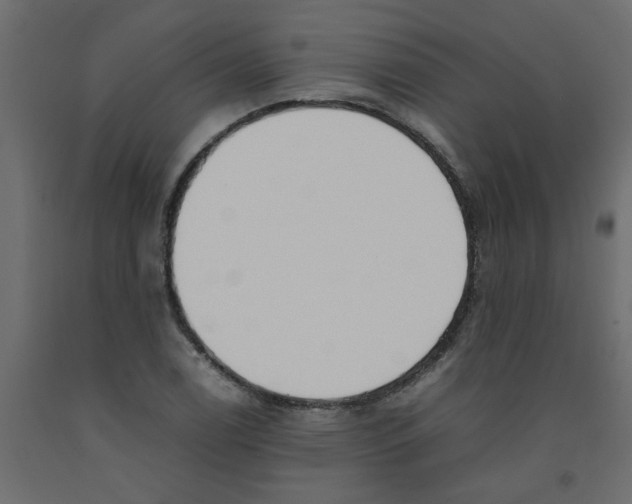 X0000092101122200710101116