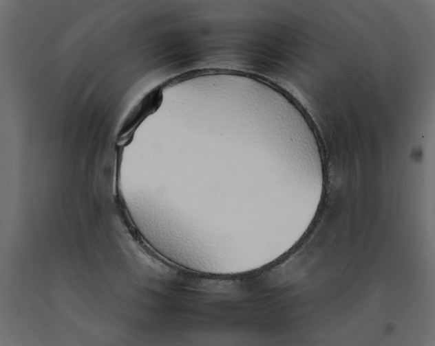 X0000092101123200710101116