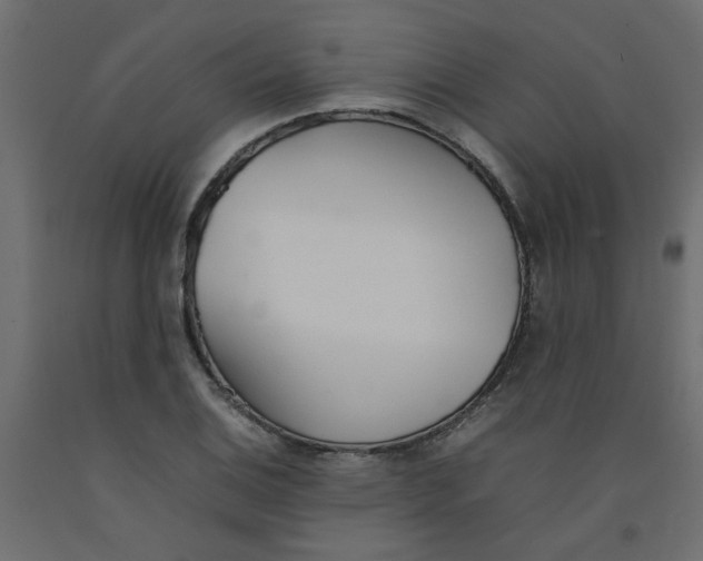 X0000092101124200710101116