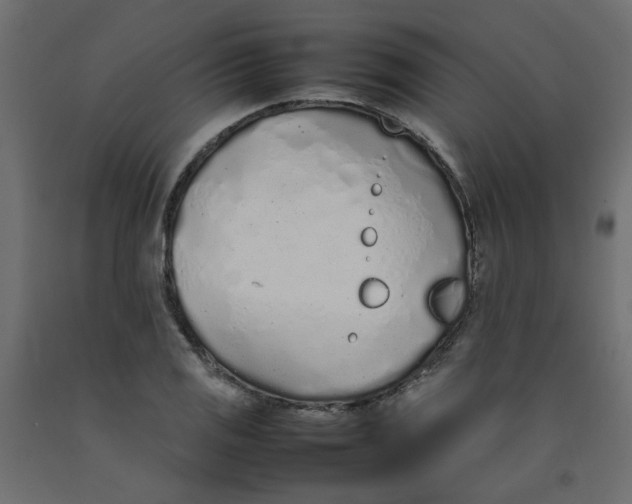 X0000092101125200710101116