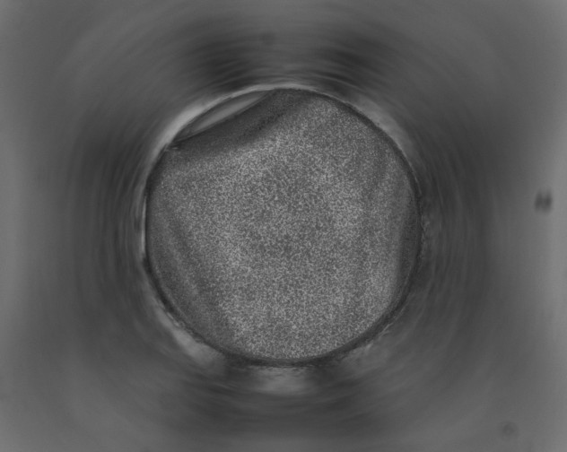 X0000092101127200710101116