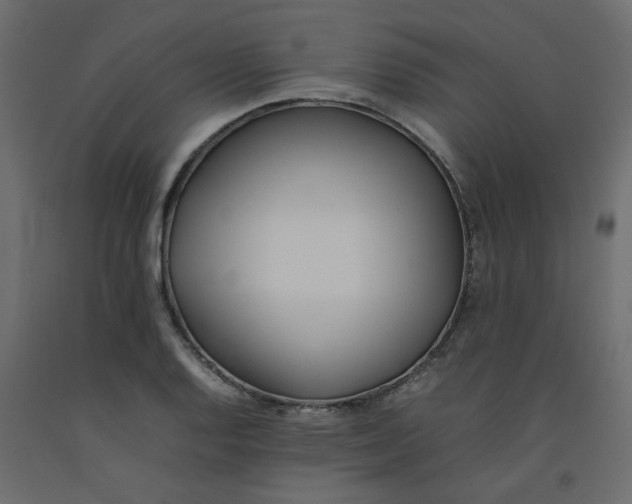 X0000092101128200710101116